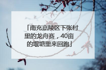 南充嘉陵区下张村里的龙舟赛，40亩的堰塘里来回跑