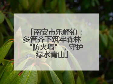 南安市乐峰镇：多管齐下筑牢森林“防火墙”，守护绿水青山