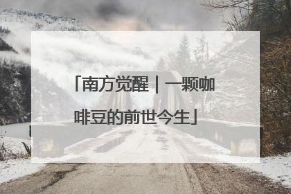 南方觉醒｜一颗咖啡豆的前世今生