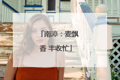 南漳：麦飘香 丰收忙