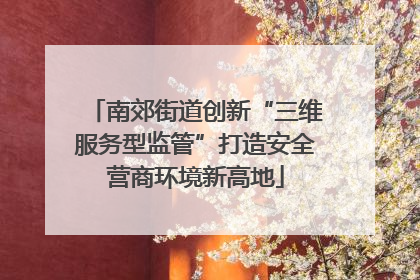 南郊街道创新“三维服务型监管”打造安全营商环境新高地