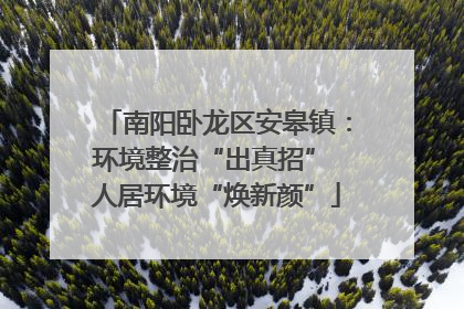 南阳卧龙区安皋镇：环境整治“出真招” 人居环境“焕新颜”