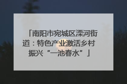 南阳市宛城区溧河街道：特色产业激活乡村振兴“一池春水”
