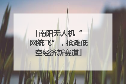 南阳无人机“一网统飞”，抢滩低空经济新赛道