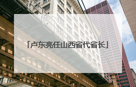 卢东亮任山西省代省长
