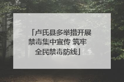 卢氏县多举措开展禁毒集中宣传 筑牢全民禁毒防线