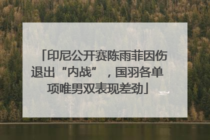 印尼公开赛陈雨菲因伤退出“内战”，国羽各单项唯男双表现差劲