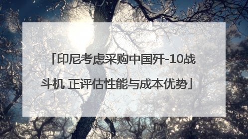 印尼考虑采购中国歼-10战斗机 正评估性能与成本优势
