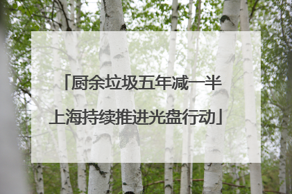 厨余垃圾五年减一半 上海持续推进光盘行动