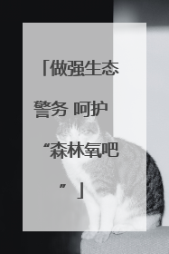 做强生态警务 呵护“森林氧吧”