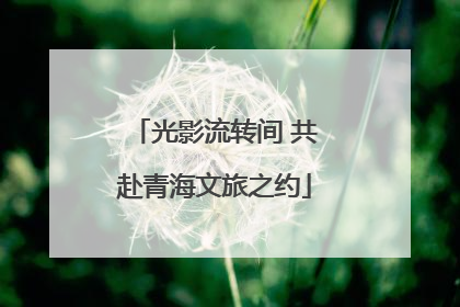 光影流转间 共赴青海文旅之约
