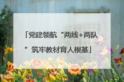 党建领航“两线+两队”筑牢教材育人根基