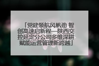 党建领航风帆劲 智创高速启新程—陕西交控延定分公司多维深耕赋能运营管理新跨越
