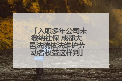 入职多年公司未缴纳社保 成都大邑法院依法维护劳动者权益这样判