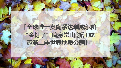 全球唯一奥陶系达瑞威尔阶“金钉子”藏身常山 浙江或添第二座世界地质公园