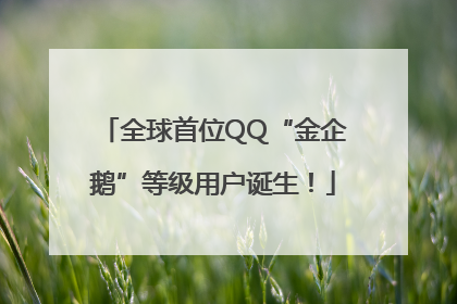 全球首位QQ“金企鹅”等级用户诞生！
