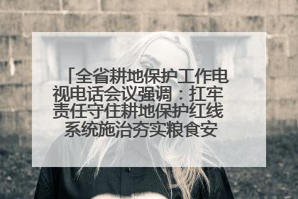 全省耕地保护工作电视电话会议强调：扛牢责任守住耕地保护红线 系统施治夯实粮食安全根基 王宁作出批示 王予波出席并讲话
