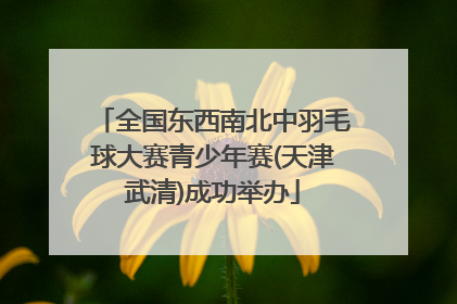 全国东西南北中羽毛球大赛青少年赛(天津武清)成功举办