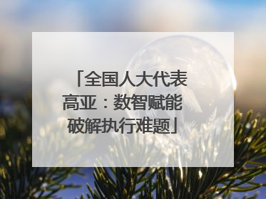全国人大代表高亚：数智赋能破解执行难题