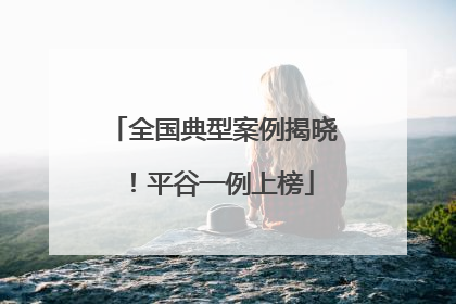 全国典型案例揭晓！平谷一例上榜