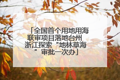 全国首个用地用海联审项目落地台州 浙江探索“地林草海”审批一次办