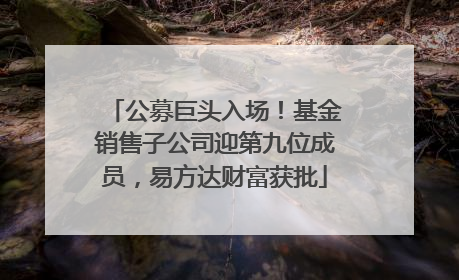 公募巨头入场！基金销售子公司迎第九位成员，易方达财富获批