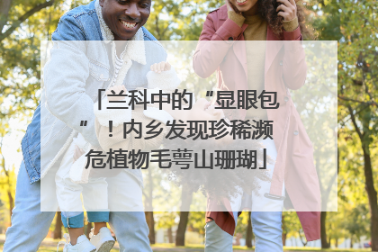 兰科中的“显眼包”！内乡发现珍稀濒危植物毛萼山珊瑚
