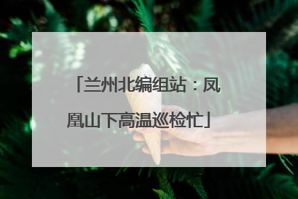 兰州北编组站：凤凰山下高温巡检忙
