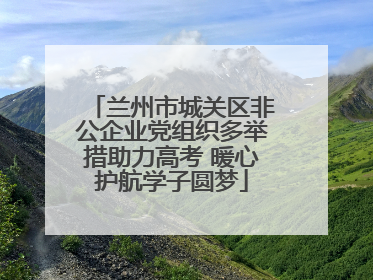 兰州市城关区非公企业党组织多举措助力高考 暖心护航学子圆梦