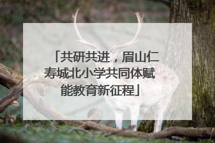 共研共进，眉山仁寿城北小学共同体赋能教育新征程