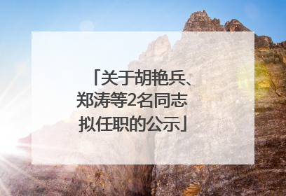 关于胡艳兵、郑涛等2名同志拟任职的公示