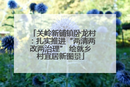 关岭新铺镇卧龙村：扎实推进“两清两改两治理” 绘就乡村宜居新图景