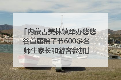 内蒙古美林镇举办悠悠谷首届粽子节600多名师生家长和游客参加