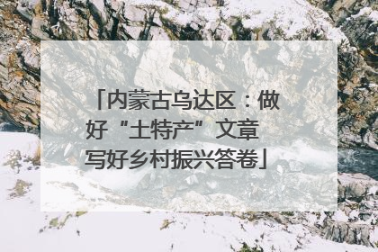 内蒙古乌达区：做好“土特产”文章 写好乡村振兴答卷