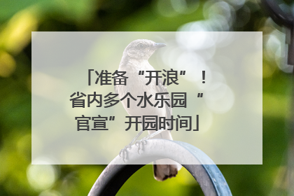 准备“开浪”！省内多个水乐园“官宣”开园时间
