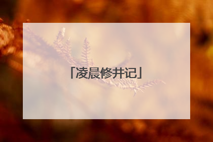 凌晨修井记