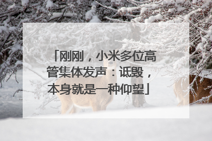 刚刚，小米多位高管集体发声：诋毁，本身就是一种仰望
