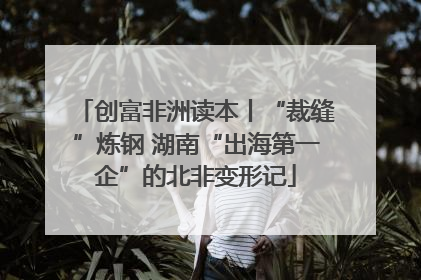 创富非洲读本丨“裁缝”炼钢 湖南“出海第一企”的北非变形记