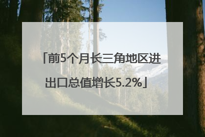 前5个月长三角地区进出口总值增长5.2%