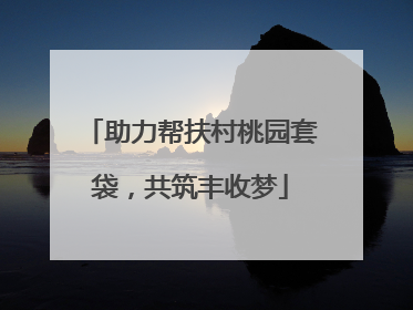 助力帮扶村桃园套袋，共筑丰收梦