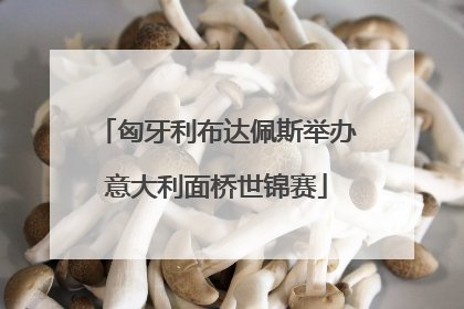 匈牙利布达佩斯举办意大利面桥世锦赛