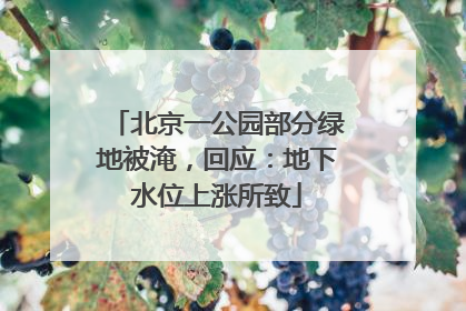 北京一公园部分绿地被淹，回应：地下水位上涨所致