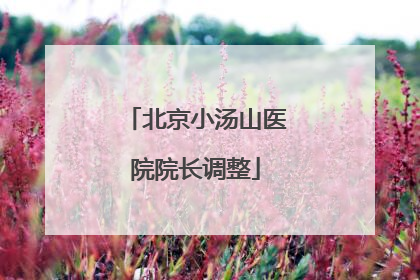 北京小汤山医院院长调整