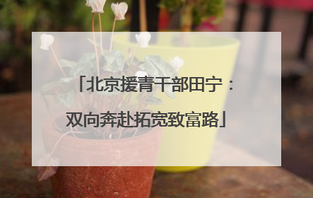 北京援青干部田宁：双向奔赴拓宽致富路