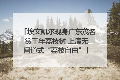 埃文凯尔现身广东茂名 赏千年荔枝树 上演无间道式“荔枝自由”