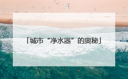 城市“净水器”的奥秘