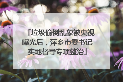 垃圾偷倒乱象被央视曝光后，萍乡市委书记实地督导专项整治