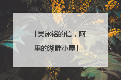 吴泳铭的信，阿里的湖畔小屋