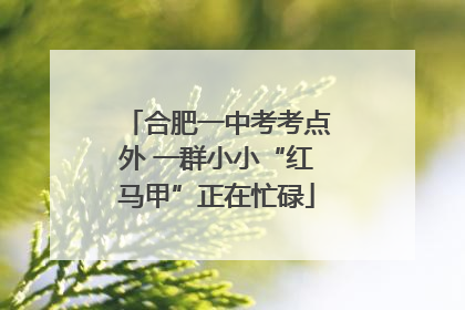 合肥一中考考点外 一群小小“红马甲”正在忙碌