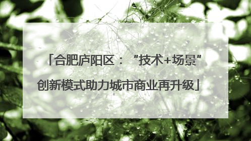 合肥庐阳区：“技术+场景”创新模式助力城市商业再升级